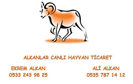  adak ankara,ankara adaklık,adaklık kurban ankara,adaklık kurban fiyatları